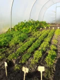 img 0683[122578]